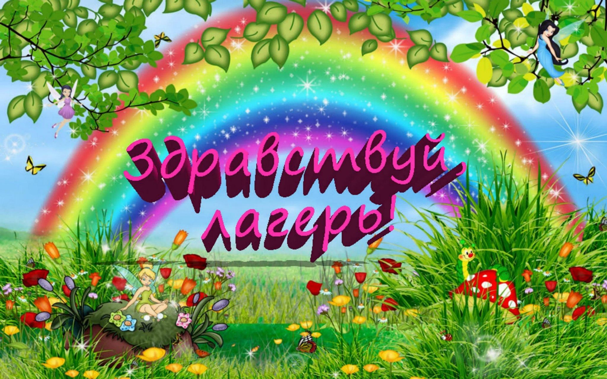 Открытие ЛДП в нашей школе!.